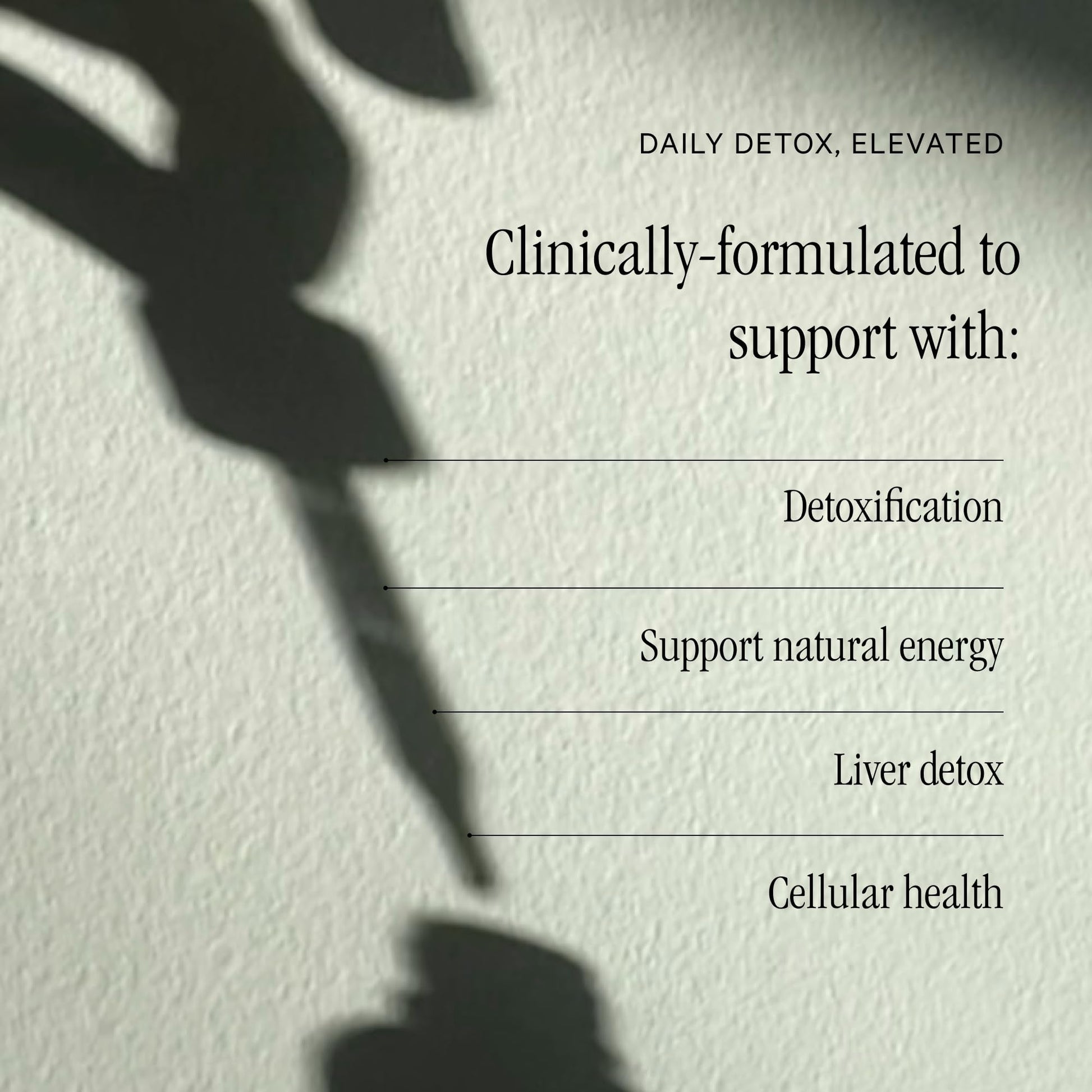 Juna Detox Chlorophyll Drops — Daily Wellness & Detox Support | Lemon Mint Spa Water Taste | Supports Cellular Health, Cleanse - Maple Wellness Supplements
