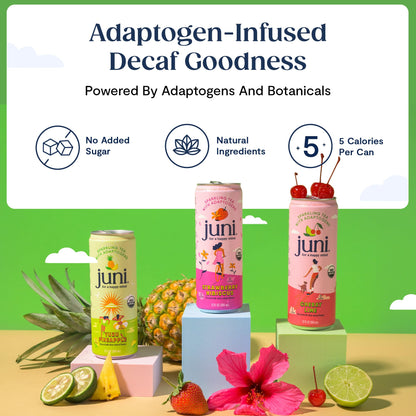 Juni Sparkling Adaptogen Drink with Ashwagandha, Lion’s Mane & Reishi Mushrooms | Green Tea for Focus, Zero Sugar, 5 Calories | Decaffeinated, Non Alcoholic Drinks - Strawberry Hibiscus 12 pack - Maple Wellness Supplements