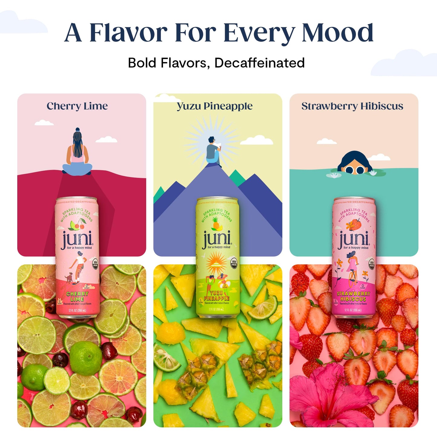 Juni Sparkling Adaptogen Drink with Ashwagandha, Lion’s Mane & Reishi Mushrooms | Green Tea for Focus, Zero Sugar, 5 Calories | Decaffeinated, Non Alcoholic Drinks - Strawberry Hibiscus 12 pack - Maple Wellness Supplements
