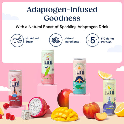 Juni Sparkling Adaptogen Drink with Ashwagandha, Lion’s Mane & Reishi Mushrooms | Green Tea for Focus, Zero Sugar, 5 Calories, Organic | Non Alcoholic Drinks - Raspberry 12 pack - Maple Wellness Supplements