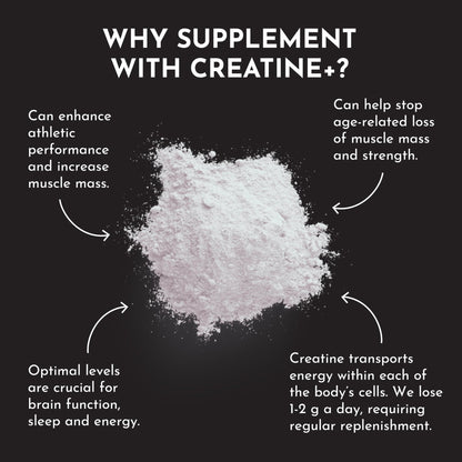 JUST INGREDIENTS Creatine Monohydrate Powder with Rejen Fulvic Mineral Complex - Supports Muscle Recovery, Energy, Strength, Cognitive Function - 30 Servings - Maple Wellness Supplements