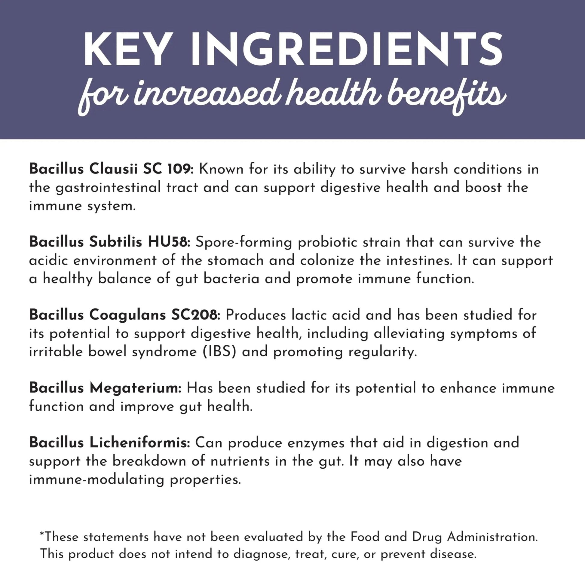 JUST INGREDIENTS Elderberry Lemonade 3-in-1 Probiotic Complex - Prebiotics, Probiotics & Postbiotics - 30 Sticks - Maple Wellness Supplements