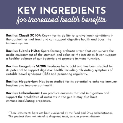 JUST INGREDIENTS Elderberry Lemonade 3-in-1 Probiotic Complex - Prebiotics, Probiotics & Postbiotics - 30 Sticks - Maple Wellness Supplements