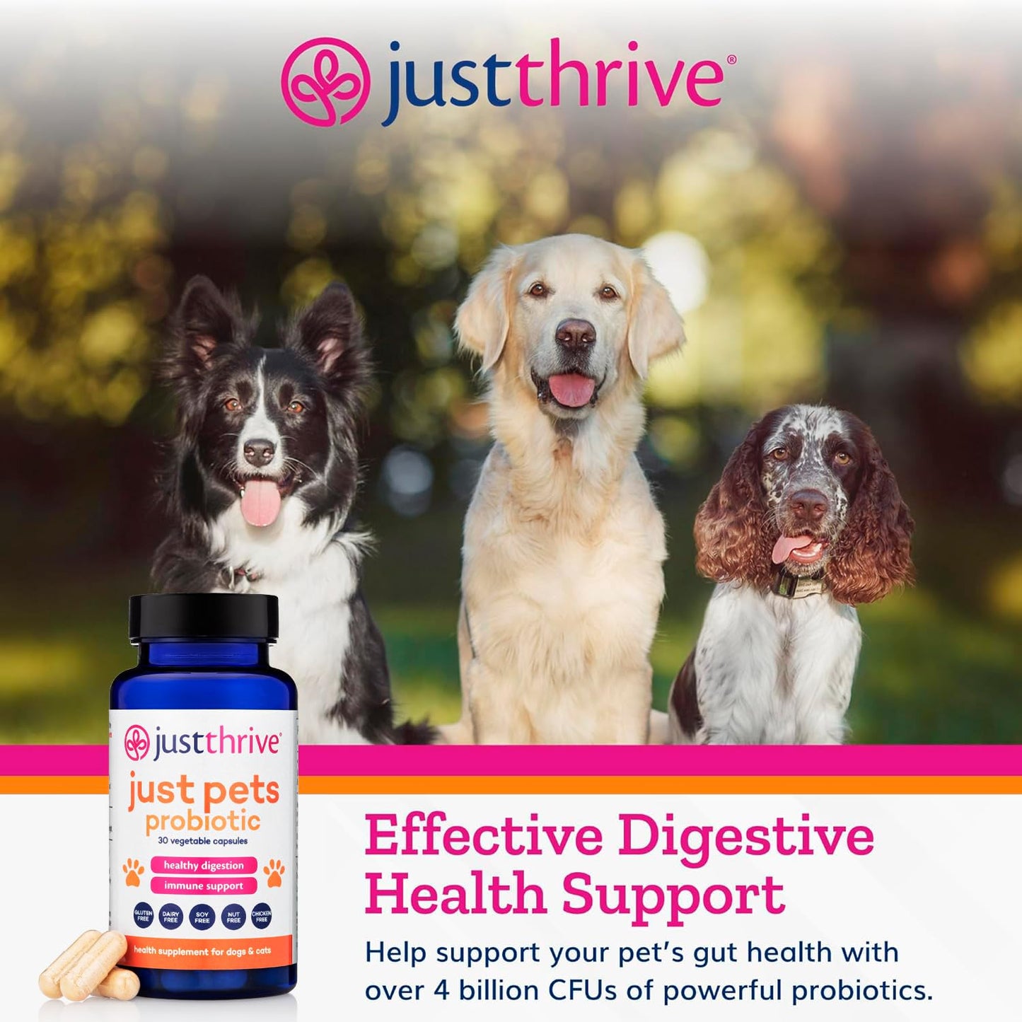 Just Thrive Just Pets Probiotic - Daily Digestive Probiotics for Dogs and Cats - 4 Billion CFUs Pet Probiotic, 30 Capsules - Maple Wellness Supplements