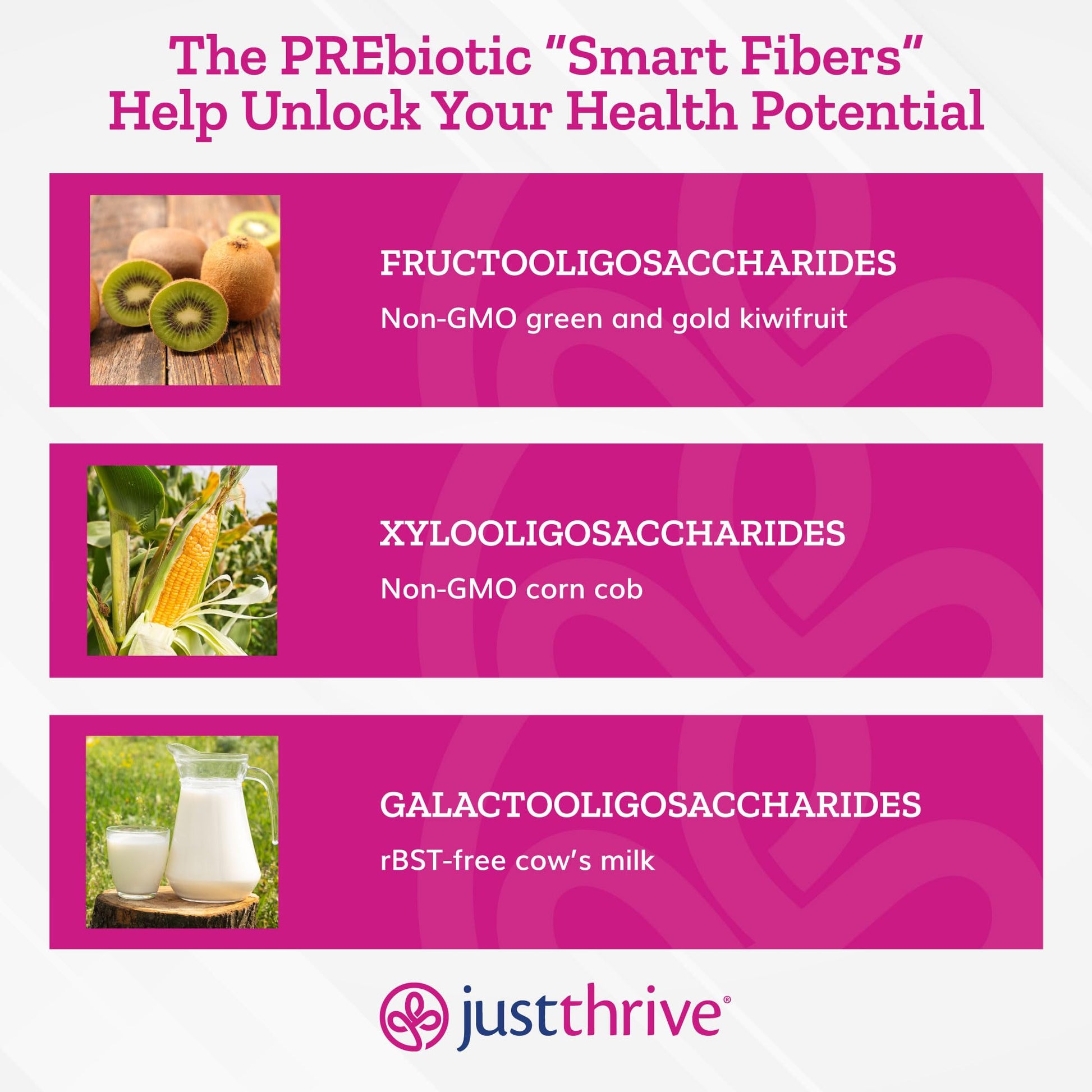 Just Thrive PREbiotic Powder - Digestive and Immune Support Supplement, 150 g - Maple Wellness Supplements