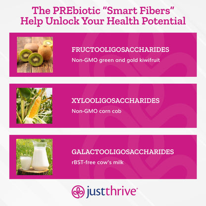 Just Thrive PREbiotic Powder - Digestive and Immune Support Supplement, 150 g - Maple Wellness Supplements