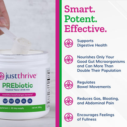 Just Thrive PREbiotic Powder - Digestive and Immune Support Supplement, 150 g - Maple Wellness Supplements