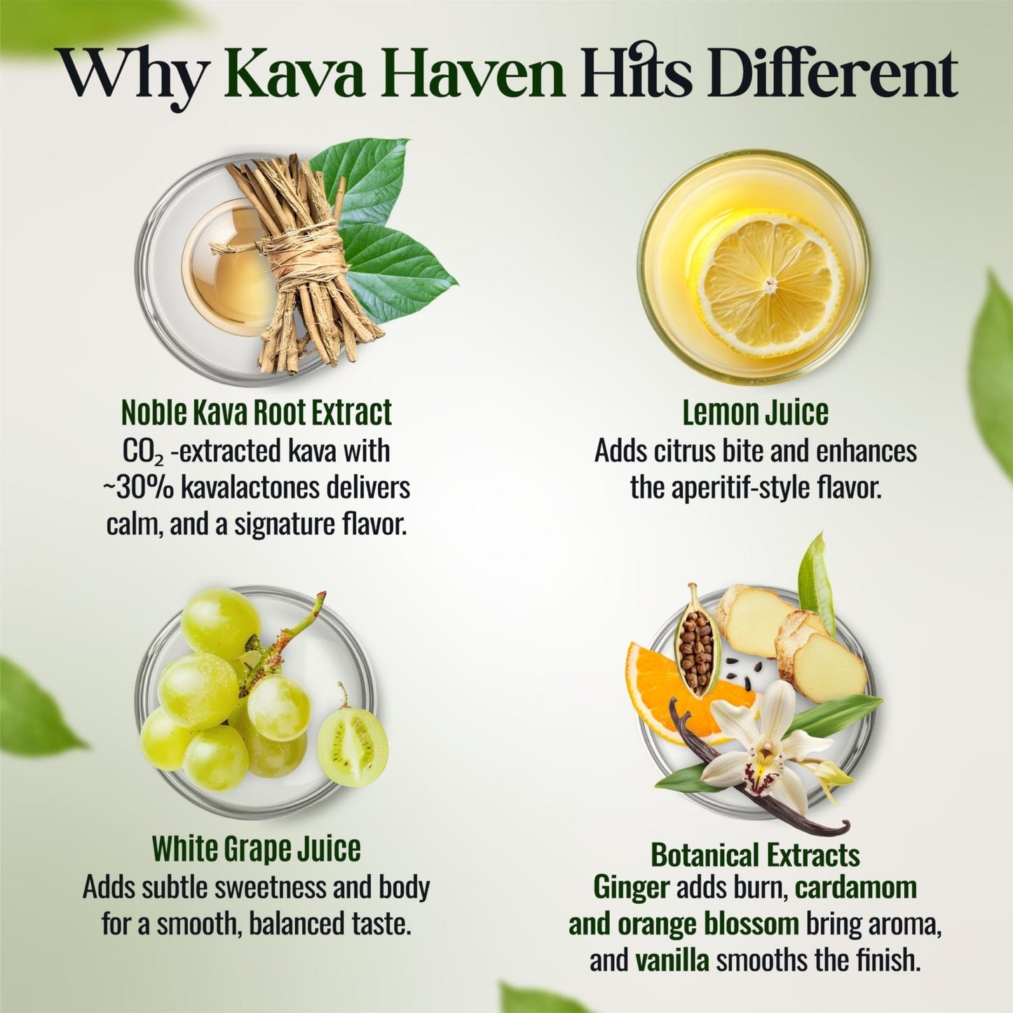 Kava Haven Non Alcoholic Spirit, 750mL Bottle | Kava Kava Drink | Non Alcohol Alternative Spirit for Mixed Drink Recipes | Low Calorie | All Natural - Maple Wellness Supplements