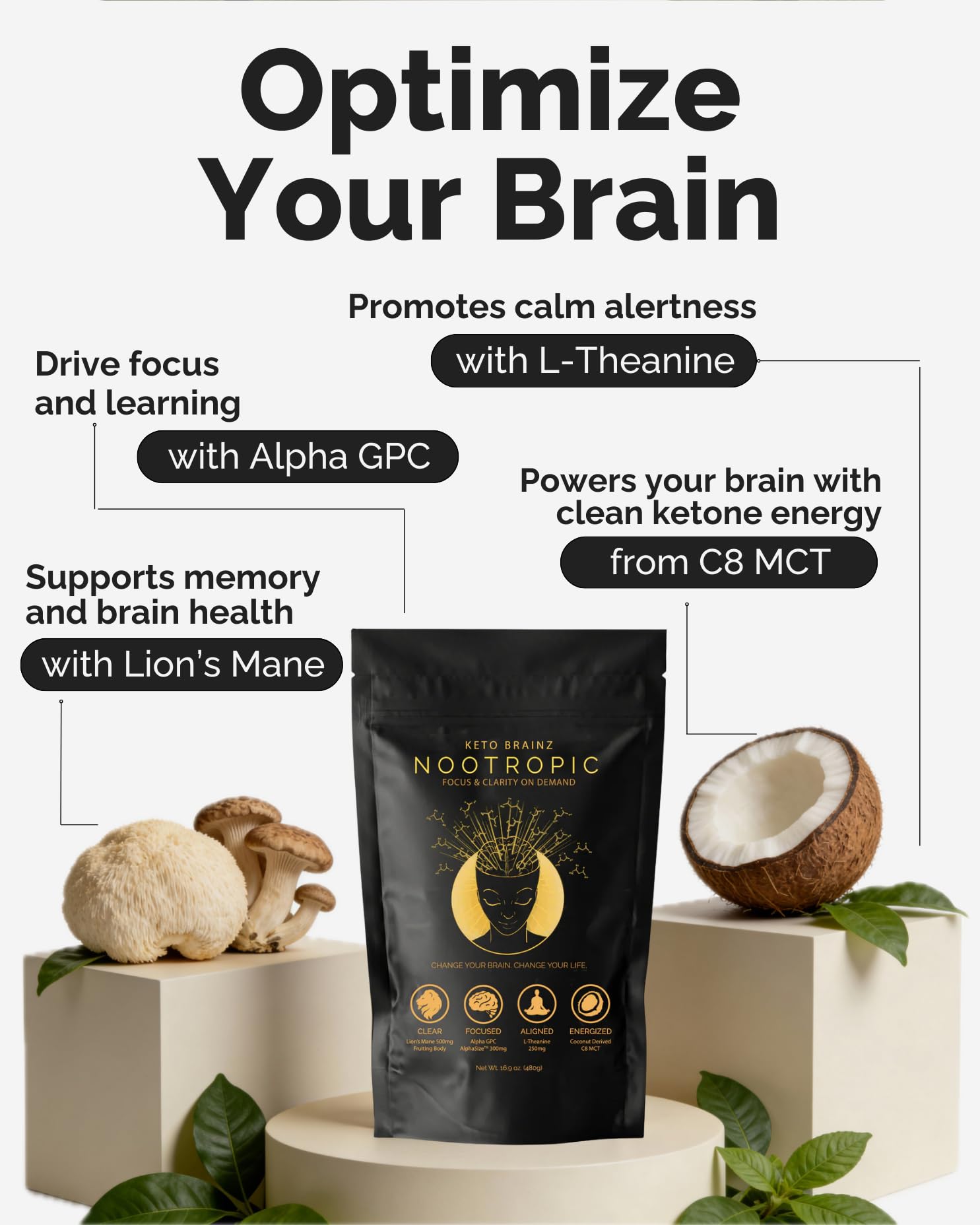 Keto Brainz C8MCT Based Nootropic - with 500mg Lion's Mane Mushroom, AlphaGPC & L-Theanine This is The Ultimate Easy to use nootropic Stack & Makes Delicious Mushroom Coffee! 16oz. 30 Servings - Maple Wellness Supplements