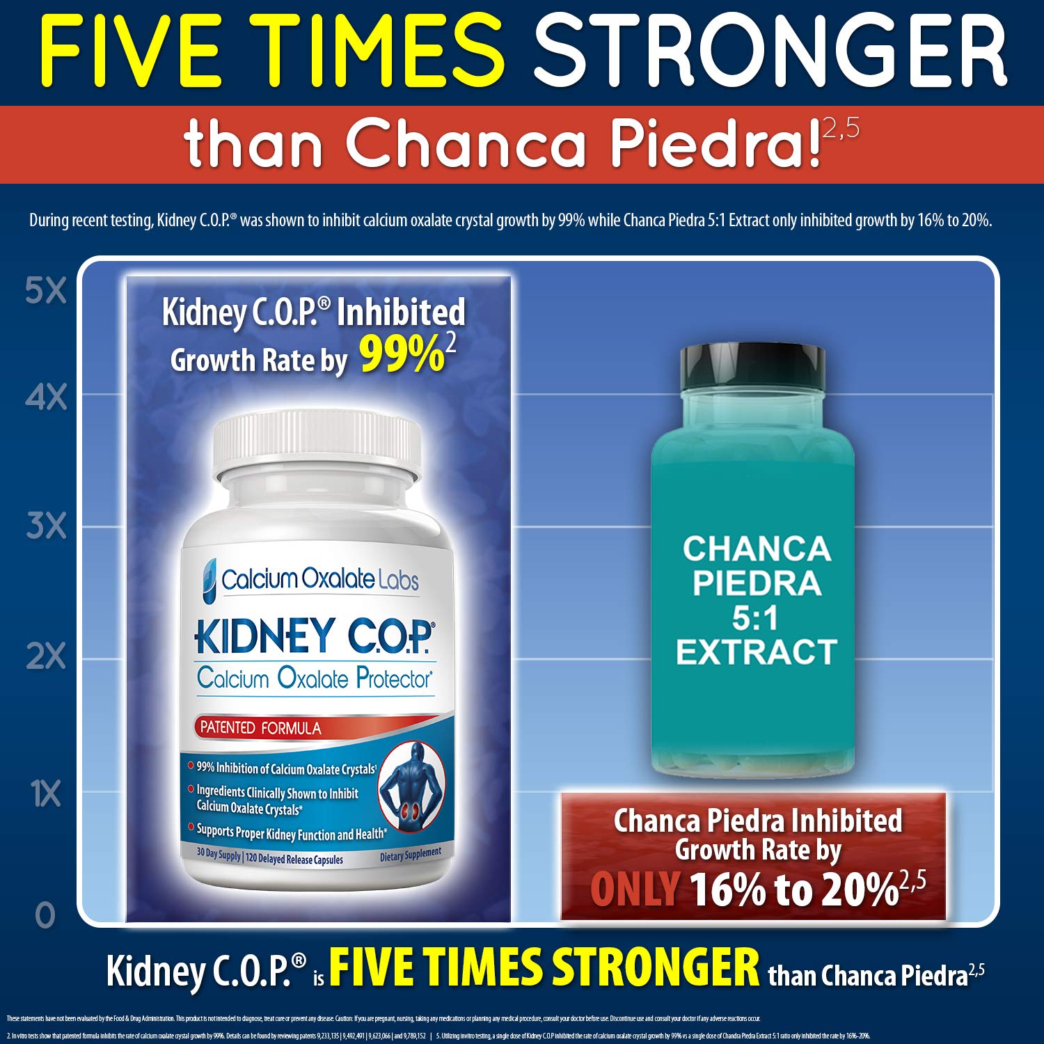 KIDNEY C.O.P. Calcium Oxalate Protector 120 Capsules, Patented Kidney Support for Calcium Oxalate Crystals, Stop Recurrence - Maple Wellness Supplements