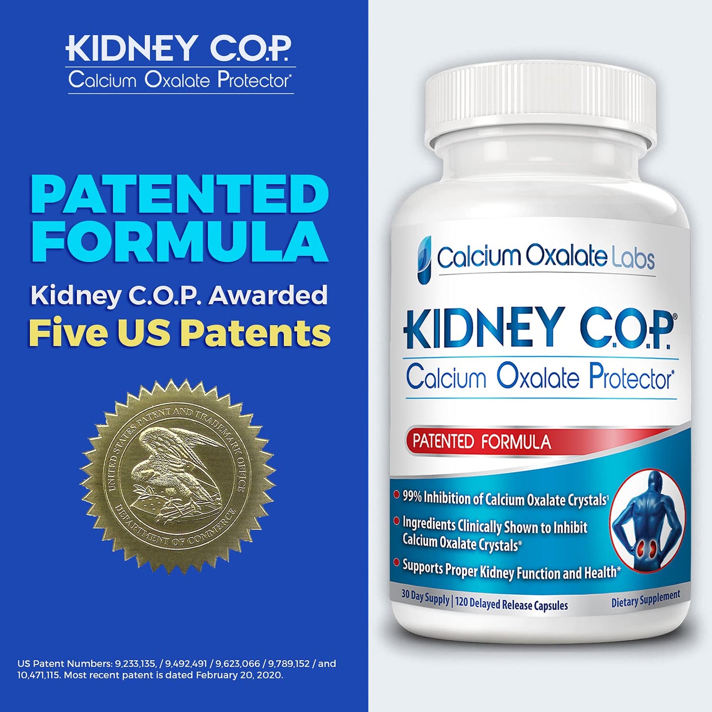 KIDNEY C.O.P. Calcium Oxalate Protector 120 Capsules, Patented Kidney Support for Calcium Oxalate Crystals, Stop Recurrence - Maple Wellness Supplements