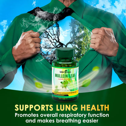 KIKI Green Mullein Leaf Extract Capsules - Herbal Respiratory Supplement - for Lung Cleans - Maple Wellness Supplements