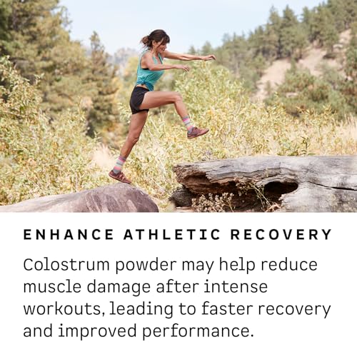 Kion Colostrum | Grass-Fed Bovine | Gut Health and Immune Support | 30 Servings - Maple Wellness Supplements