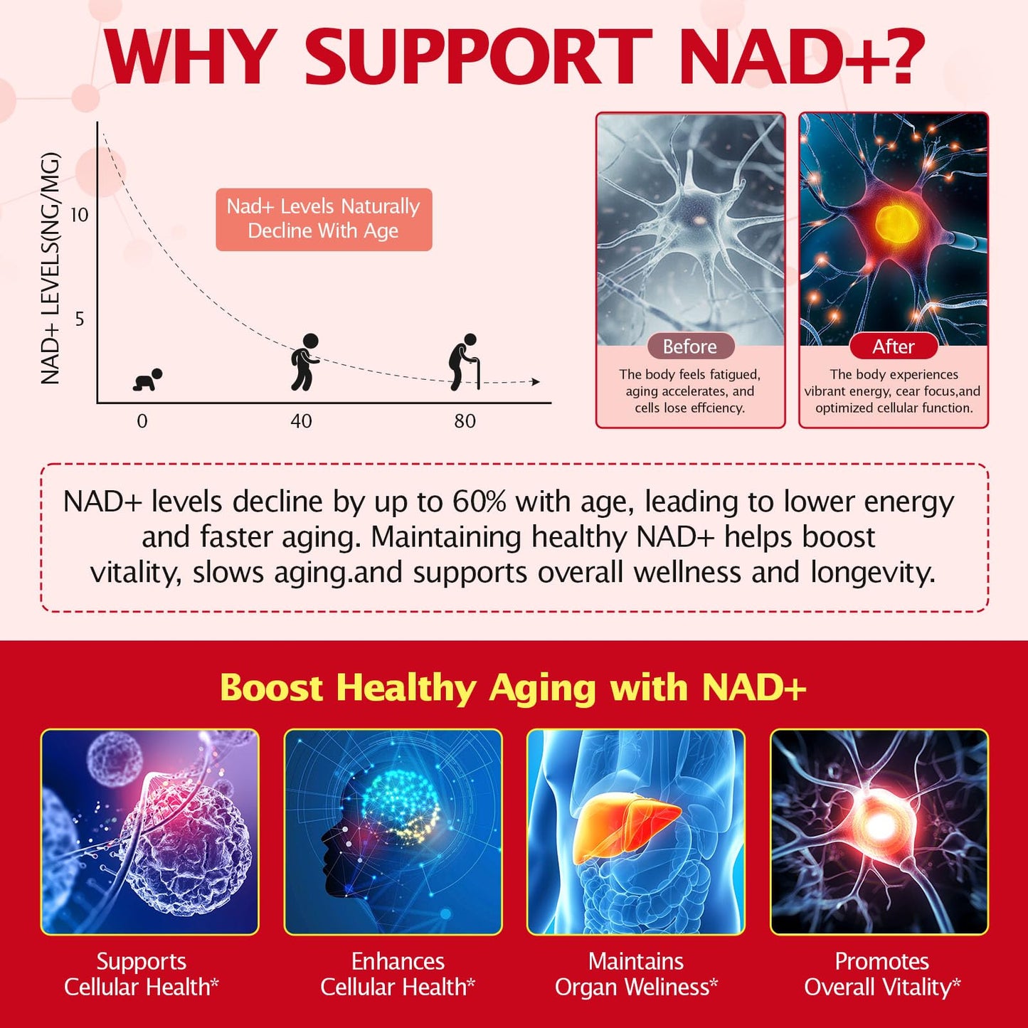KITNOBLIS NAD+ Supplement for Women 1000mg - High Potency Cellular Energy Booster with PQQ, Resveratrol - Health, Anti-Aging Support （21pcs） - Maple Wellness Supplements