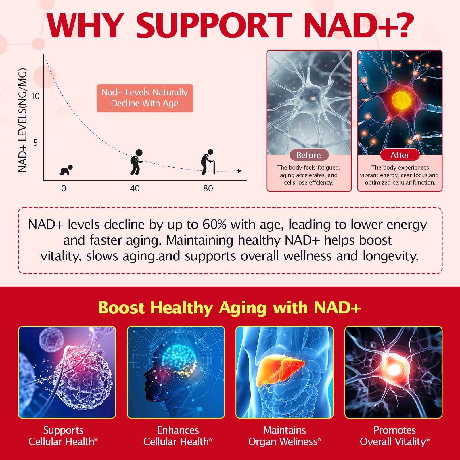 KITNOBLIS NAD+ Supplement for Women 1000mg - High Potency Cellular Energy Booster with PQQ, Resveratrol - Health, Anti-Aging Support （21pcs） - Maple Wellness Supplements
