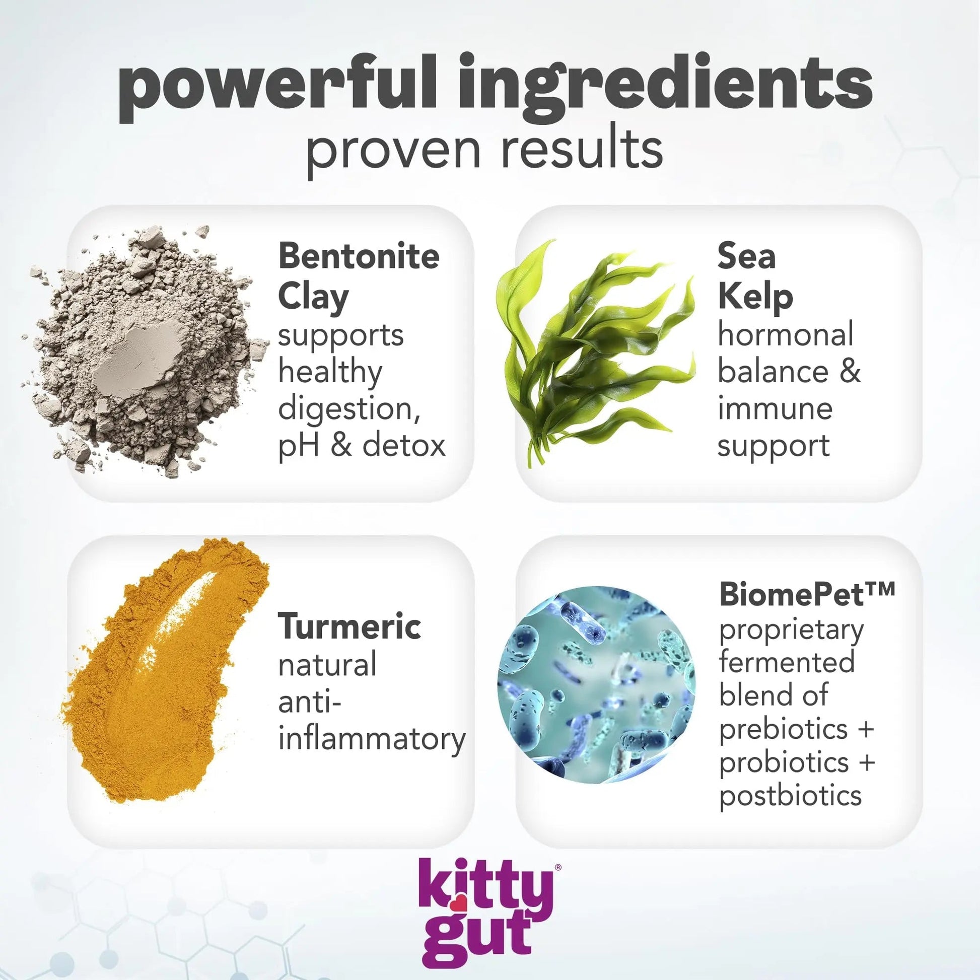KittyGut 3-in-1 Organic Cat Probiotics & Postbiotic Supplement Powder- Made in USA-Probiotics for Cats Promote Gut Health and Cat Digestive Support, Diarrhea and Vomiting (60g) - Maple Wellness Supplements