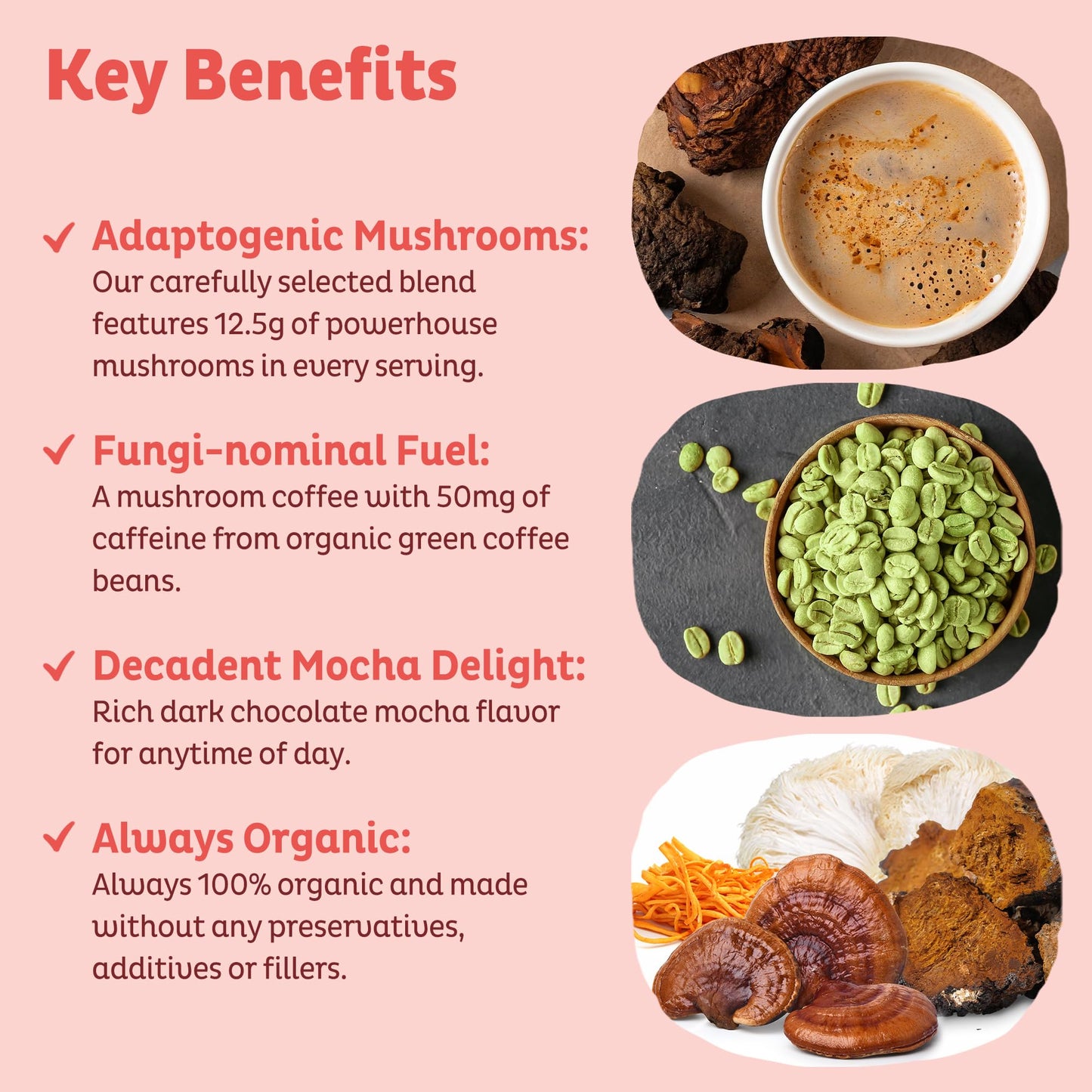 KOS Mushroom Coffee - USDA Certified Organic - Dark Chocolate Mocha Flavor - Mushroom Coffee Latte Powder with Reishi, Cordyceps, Lion's Mane, Chaga & Turkey Tail Mushrooms - Maple Wellness Supplements