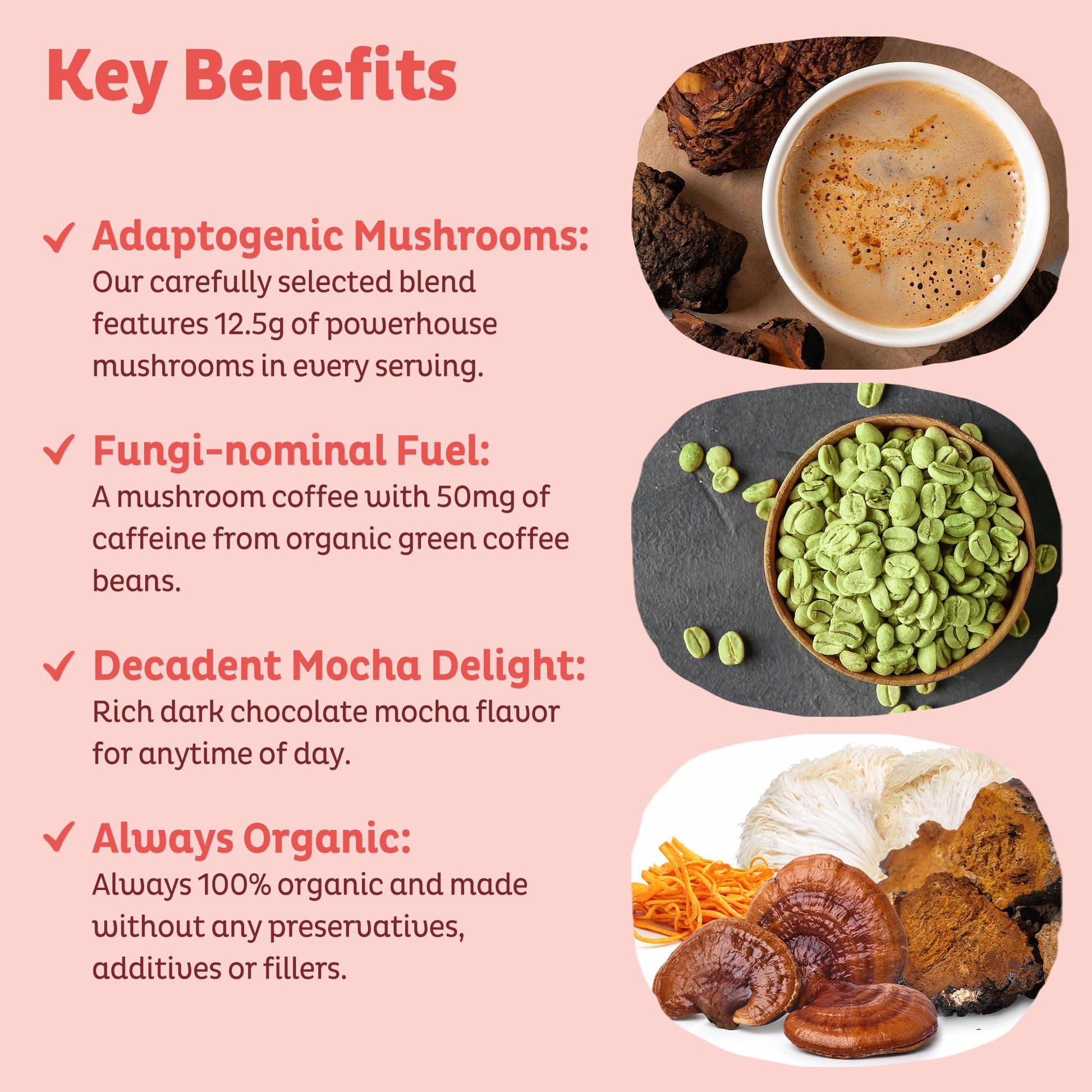 KOS Mushroom Coffee - USDA Certified Organic - Dark Chocolate Mocha Flavor - Mushroom Coffee Latte Powder with Reishi, Cordyceps, Lion's Mane, Chaga & Turkey Tail Mushrooms - Maple Wellness Supplements