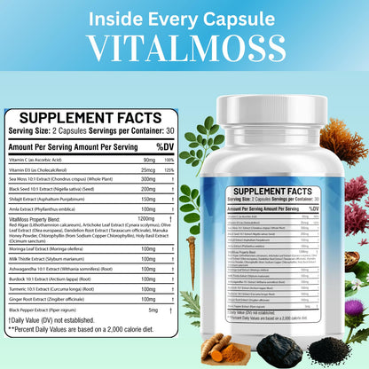 Kun Shafi Sea Moss Complex – with Black Seed Oil, Shilajit, Amla, Moringa, Turmeric, Ashwagandha & Burdock – Enriched with Vitamin C, D3, Chlorophyll, Manuka & Ginger – 60 Capsules - Maple Wellness Supplements