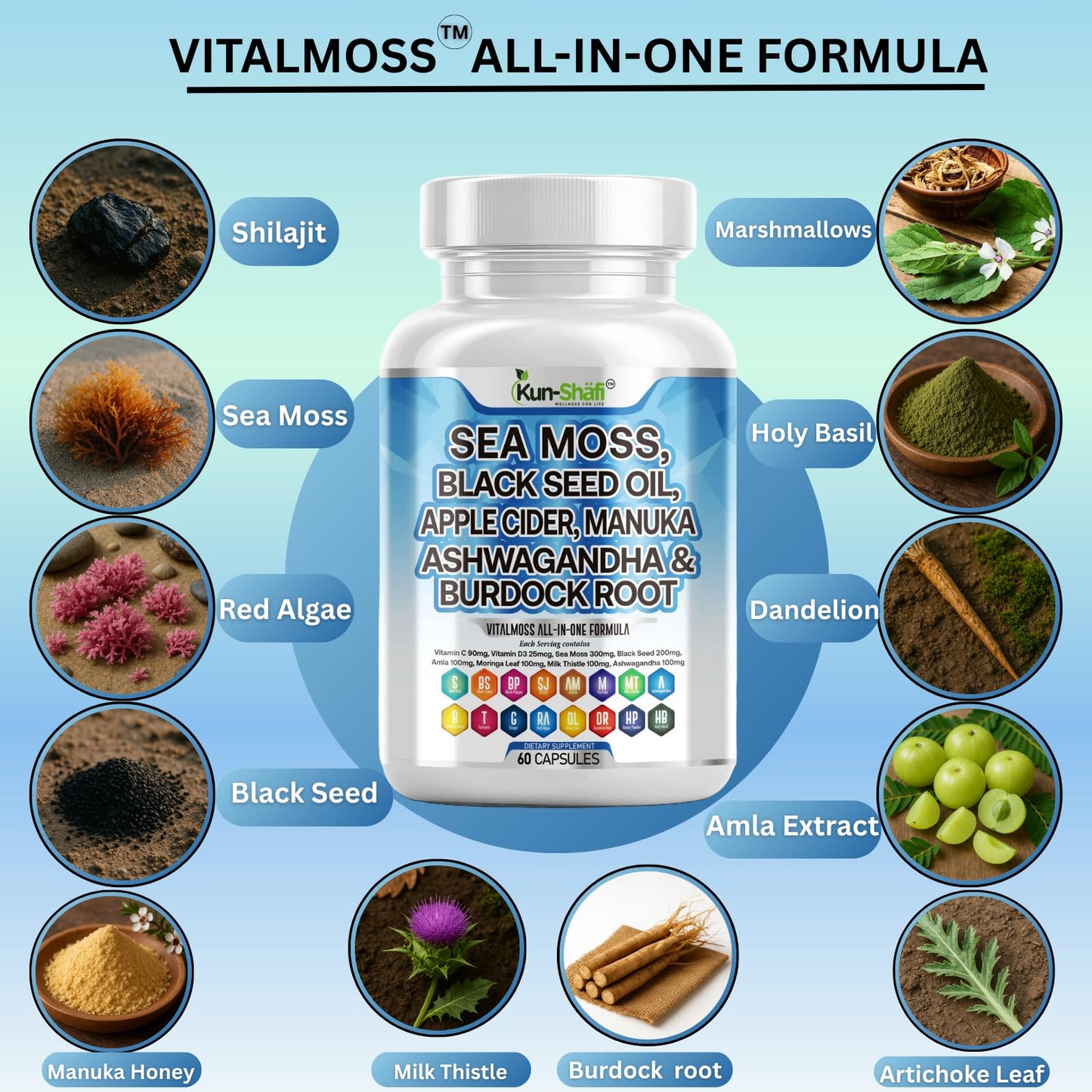 Kun Shafi Sea Moss Complex – with Black Seed Oil, Shilajit, Amla, Moringa, Turmeric, Ashwagandha & Burdock – Enriched with Vitamin C, D3, Chlorophyll, Manuka & Ginger – 60 Capsules - Maple Wellness Supplements