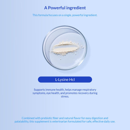 L-Lysine Supplement for Cats 900mg/scoop - Cat Supplement for Sneezing and Runny Nose, Cold, Immune Support, Eye Function - Maple Wellness Supplements