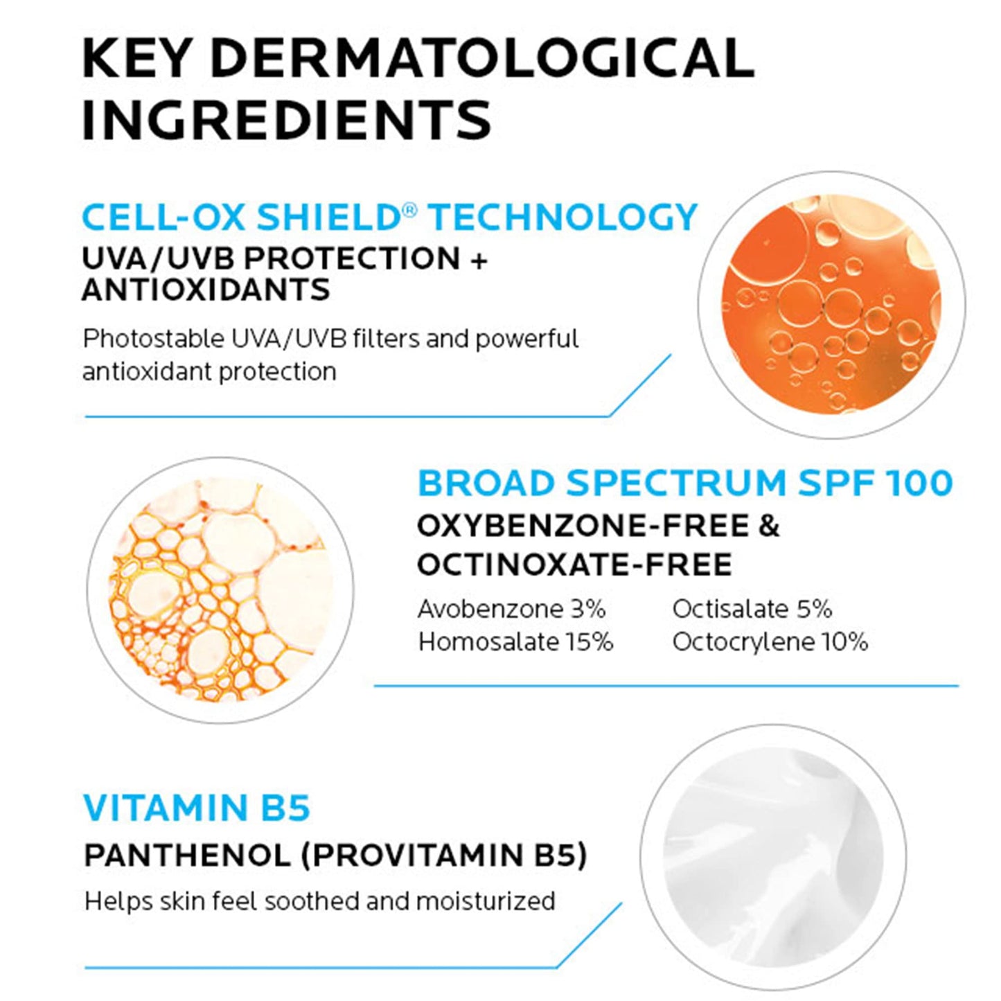 La Roche-Posay Anthelios Melt-In Milk Sunscreen SPF 100, Sunscreen For Body & Face - Maple Wellness Supplements