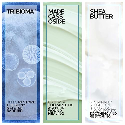 La Roche-Posay Cicaplast Balm B5 UV SPF 50, Vitamin B5 + Shea Butter + Tribioma + Madecassoside + Zinc Oxide Sunscreen - Maple Wellness Supplements