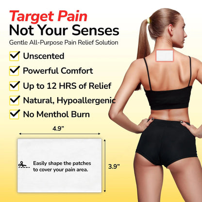 LABOFLEX Arnipatch Natural Arnica Pain Relief Hydrogel Patches – Long Lasting Relief for Muscle Soreness, Swelling, Inflammation, Stiffness & Injury on Back, Knee & Neck (Box, 10, Count) - Maple Wellness Supplements