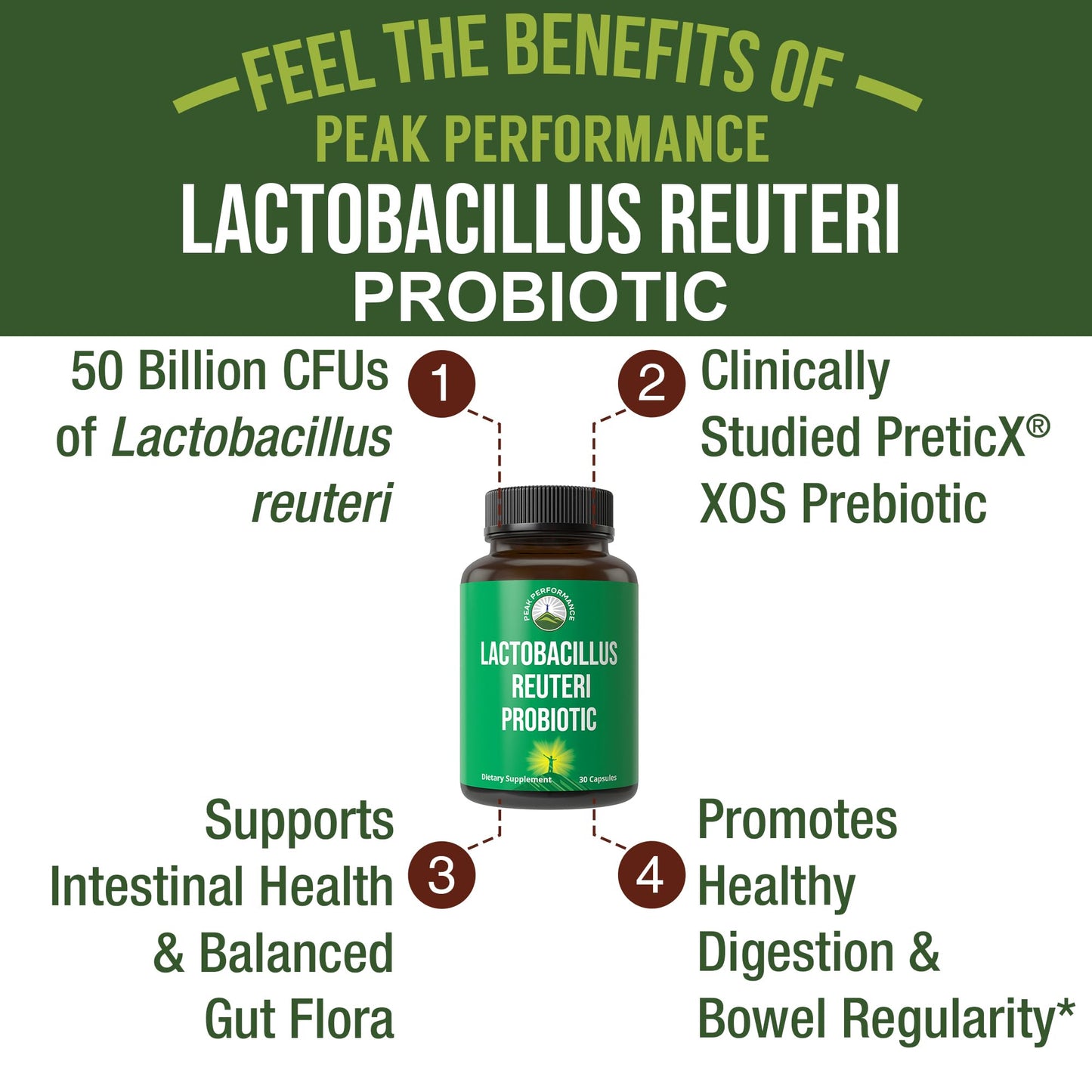 Lactobacillus Reuteri 50 Billion CFU Probiotics with Clinically Studied PreticX® XOS Prebiotic. L Reuteri Probiotic Capsules Supplement for Gut Health and Digestive Support. for Both Women & Men - Maple Wellness Supplements