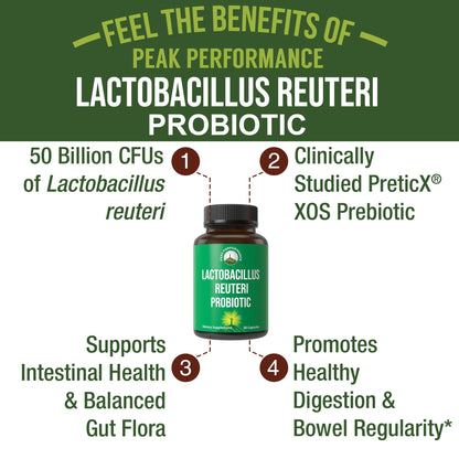 Lactobacillus Reuteri 50 Billion CFU Probiotics with Clinically Studied PreticX® XOS Prebiotic. L Reuteri Probiotic Capsules Supplement for Gut Health and Digestive Support. for Both Women & Men - Maple Wellness Supplements