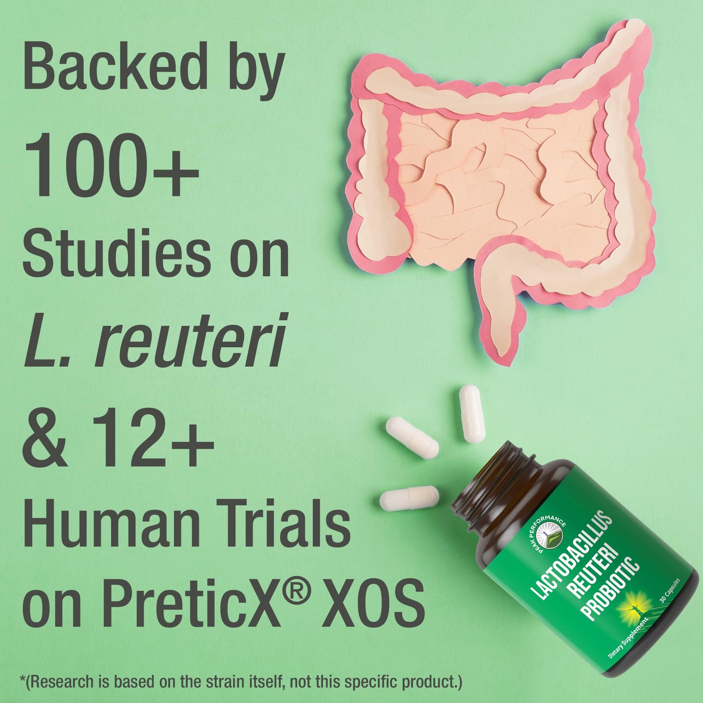 Lactobacillus Reuteri 50 Billion CFU Probiotics with Clinically Studied PreticX® XOS Prebiotic. L Reuteri Probiotic Capsules Supplement for Gut Health and Digestive Support. for Both Women & Men - Maple Wellness Supplements
