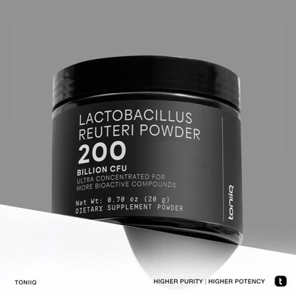 Lactobacillus Reuteri Powder – Ultra High Strength 200 Billion CFU Probiotic L Reuteri Supplement and Yogurt Starter – Third Party Tested Pure Single-Strain– Shelf-Stable – 20g - Maple Wellness Supplements