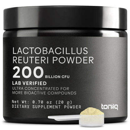 Lactobacillus Reuteri Powder – Ultra High Strength 200 Billion CFU Probiotic L Reuteri Supplement and Yogurt Starter – Third Party Tested Pure Single-Strain– Shelf-Stable – 20g - Maple Wellness Supplements