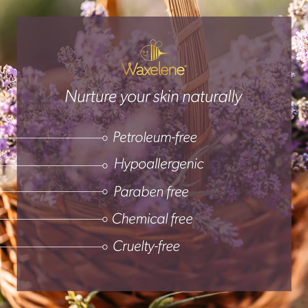 Lavender Aerated Lip Balm tin - Single - Maple Wellness Supplements