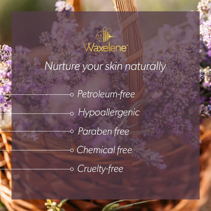 Lavender Aerated Lip Balm tin - Single - Maple Wellness Supplements