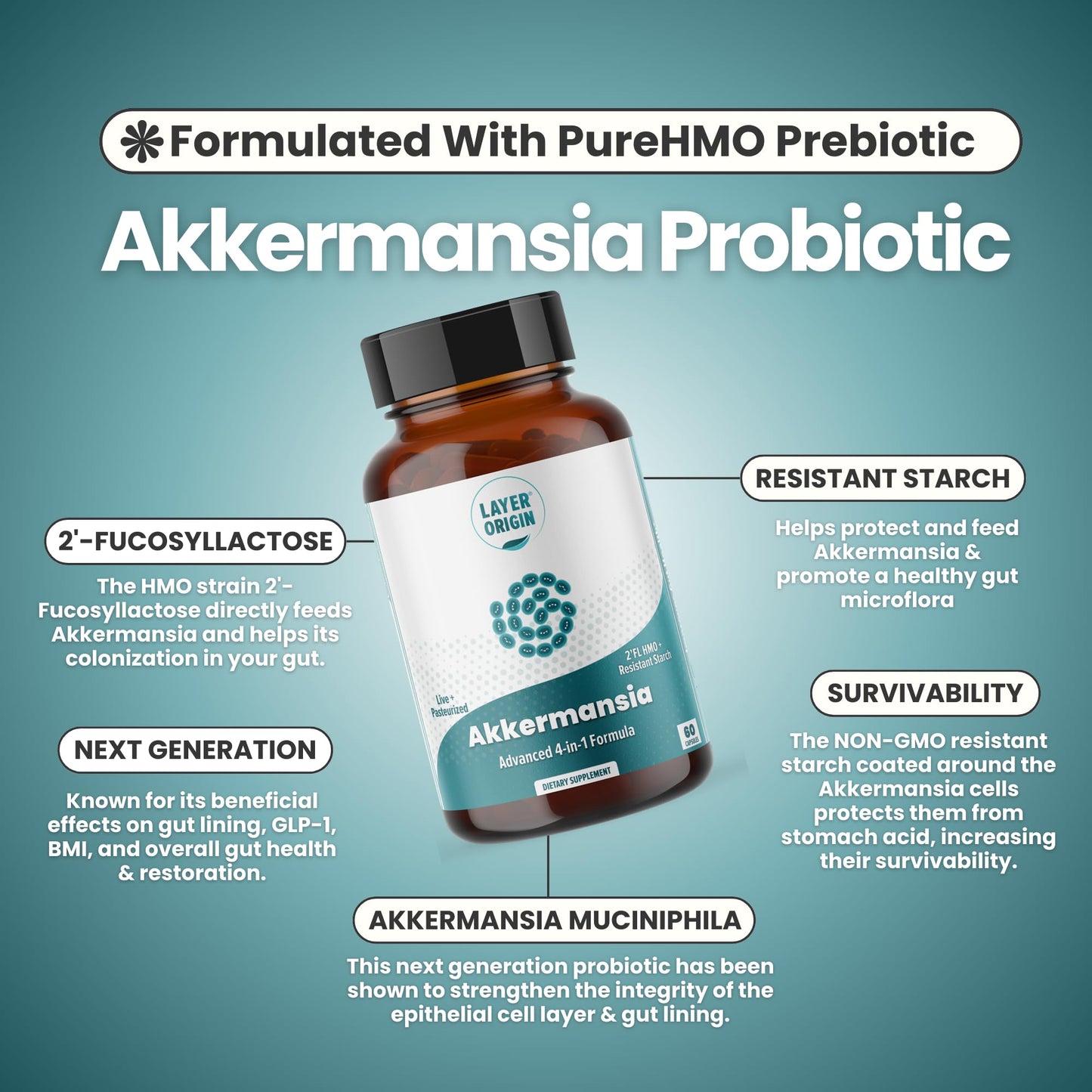 Layer Origin Akkermansia muciniphila Probiotic, with Both Live + Pasteurized Akkermansia and PureHMO Prebiotic, Validated Strain, Updated 4-in-1 Formula - Maple Wellness Supplements