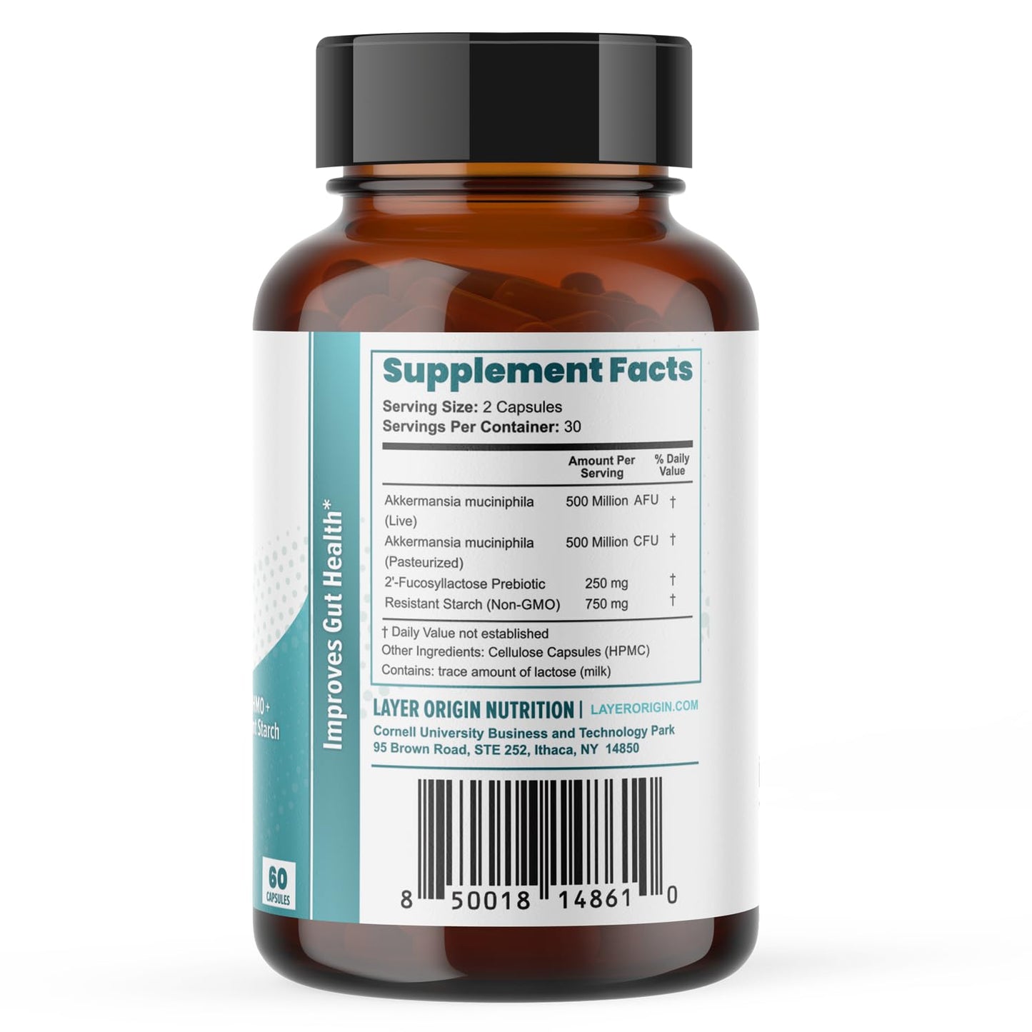 Layer Origin Akkermansia muciniphila Probiotic, with Both Live + Pasteurized Akkermansia and PureHMO Prebiotic, Validated Strain, Updated 4-in-1 Formula - Maple Wellness Supplements