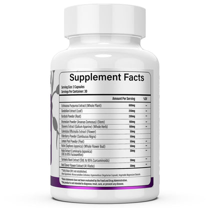 Lazpowfi Lymphatic Drainage Supplements, 1540mg Lymph System Support Supplement for Women & Men with Dandelion, Burdock, Echinacea,Rutin, Turmeric,Cleavers & More, 60 Capsules - Maple Wellness Supplements