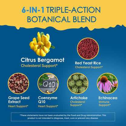 LeaforClensey Citrus Bergamot Liquid Drops for High Cholesterol, Bergamot Extract Blend Supplements with Red Yeast Rice & CoQ10 for Heart - Maple Wellness Supplements