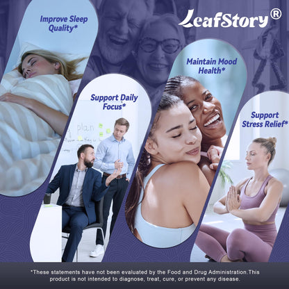 LeafStory Nootropic Brain Supplements for Memory and Focus, Cognitive Function for Mental Health & Clarity, Vitamin B6 B12, Folate & Dihydromyricetin, 60 Capsules - Maple Wellness Supplements