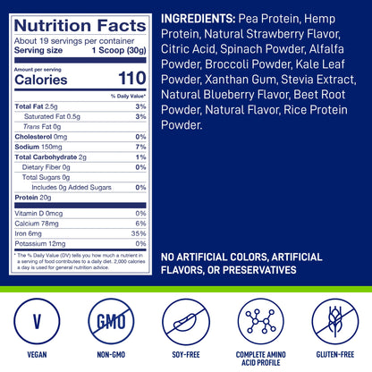 LeanFit Plant-Based Protein & Greens, Natural Berry, 20g Protein, 19 Servings, 1.25 Pound - Maple Wellness Supplements