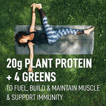 LeanFit Plant-Based Protein & Greens Natural Vanilla – 20g Plant Protein + 4 Leafy Greens - Maple Wellness Supplements