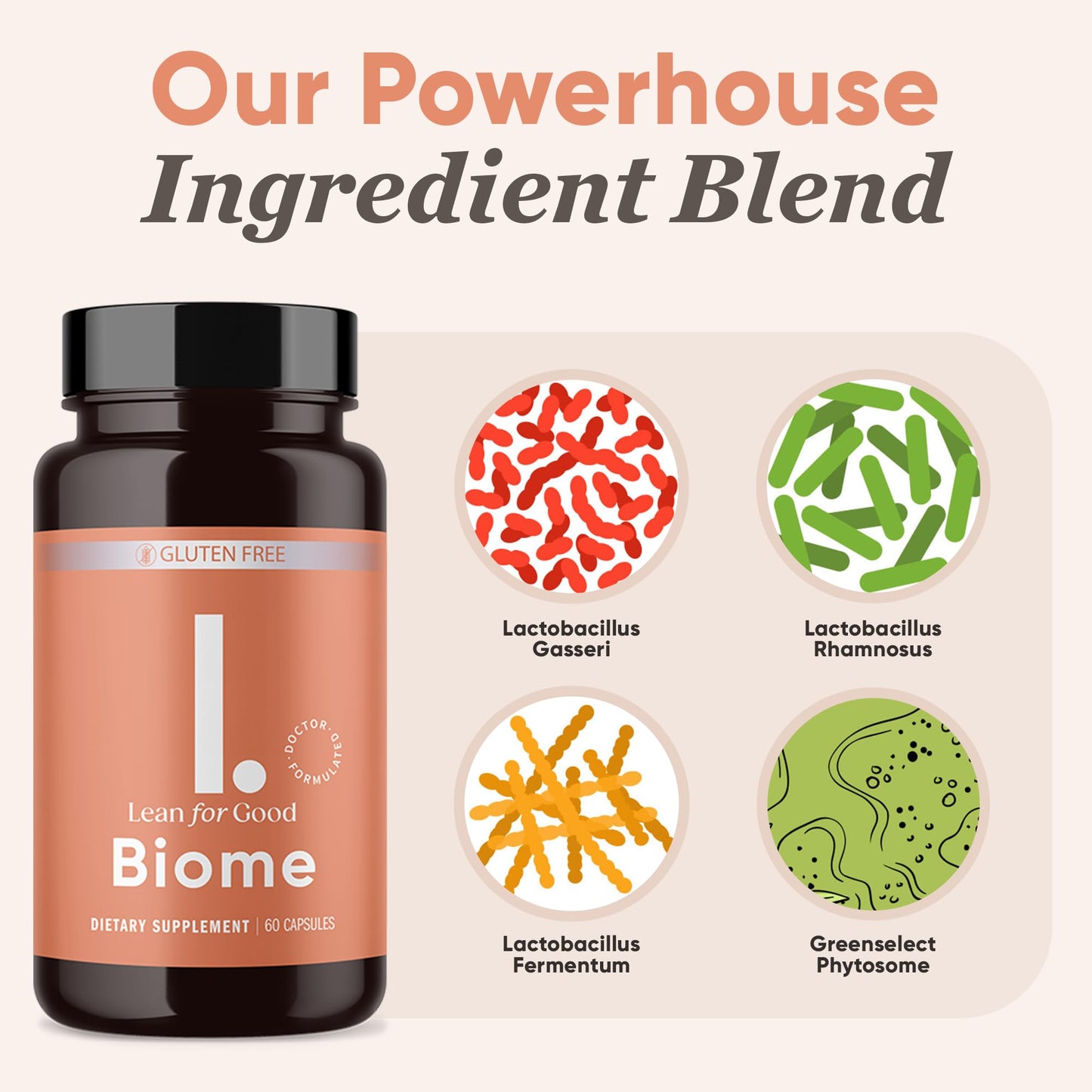 LEANFORGOOD Biome, 9-Strain Probiotic Formula, Supports a Balanced Gut Microbiome, Powerful Gut Probiotics - Maple Wellness Supplements