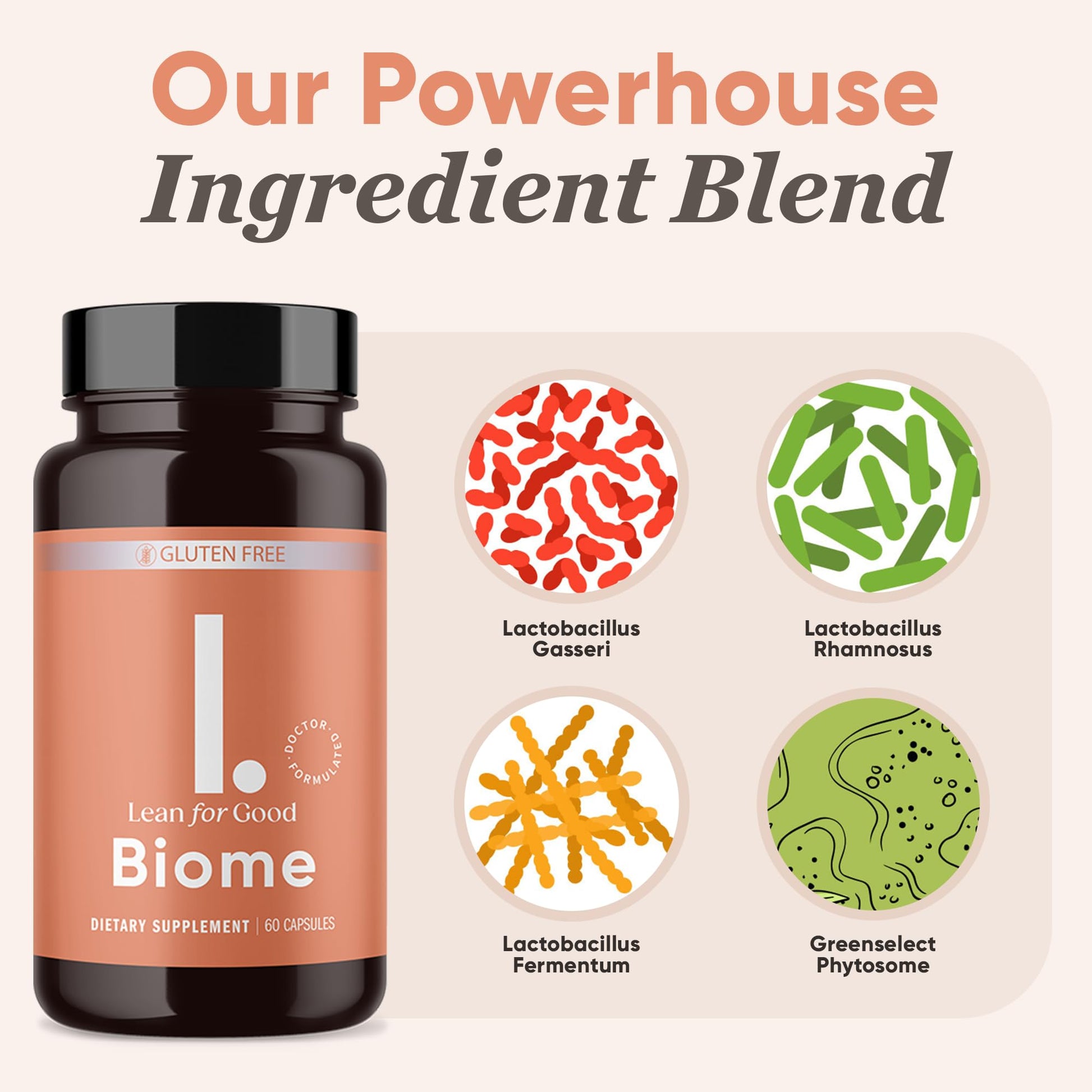 LEANFORGOOD Biome, 9-Strain Probiotic Formula, Supports a Balanced Gut Microbiome, Powerful Gut Probiotics - Maple Wellness Supplements