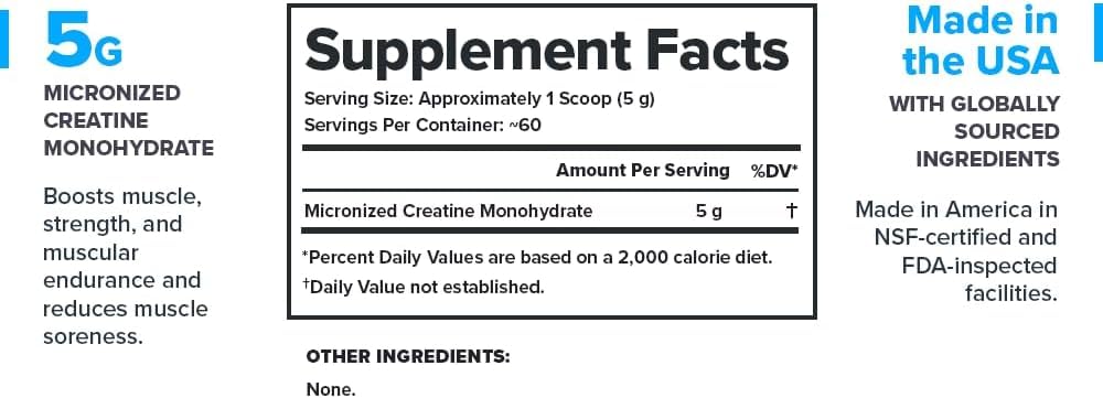LEGION Micronized Creatine Monohydrate Supplement - Clean Creatine Powder for Muscle Gain & Post Workout Recovery - Micronized Creatine Supplement for Maximum - Maple Wellness Supplements