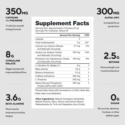 LEGION Pulse Pre Workout Supplement - All Natural Nitric Oxide Preworkout Drink to Boost Energy, Creatine Free, Naturally Sweetened, Beta Alanine, Citrulline, Alpha GPC (Fruit Punch) - Maple Wellness Supplements