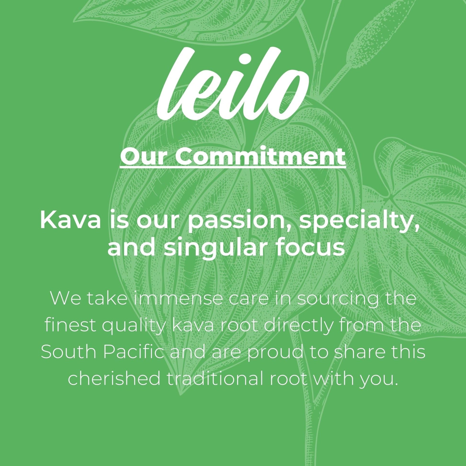 Leilo | Kava Powered Lime Margarita Mocktail Drink | Sugar-Free & Non-Alc Functional Relaxation Support | 12 fl oz Cans (Pack of 12) - Maple Wellness Supplements
