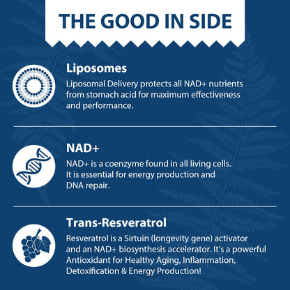 Lepoznan Liposomal NAD+ 500 mg + Trans-Resveratrol 300 mg, Superior Absorption True NAD Supplement Efficient for Cellular Energy Metabolism & DNA Repair, 60 Softgels - Maple Wellness Supplements