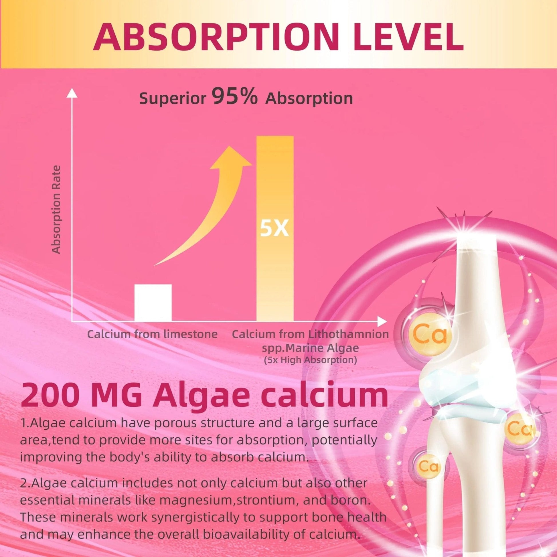 Lerinettia Multivitamin for Women Gummies for 40+ with Omega-3, Niacinamide, B-Complex, Lutein, Iron, Choline, Phosphatidylserine, Vitamin D3 - Maple Wellness Supplements