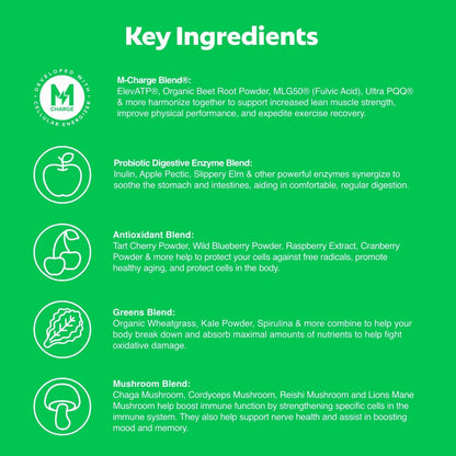 L'Evate You Vitality Daily Greens Powder (28 Servings) 30 Superfoods, 9 Greens - for a Cellular Energy Boost, Powered by M-Charge Complex for All Day Energy (Original) - Maple Wellness Supplements